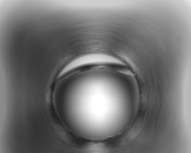 X0000089440403200706221233