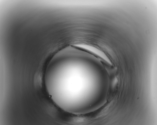 X0000089440404200706221233