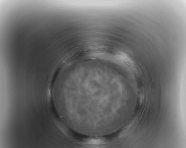 X0000089440405200706221233
