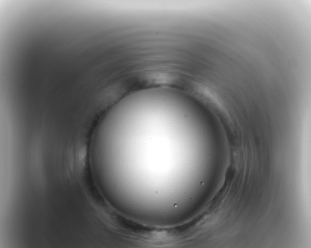 X0000089440406200706221233