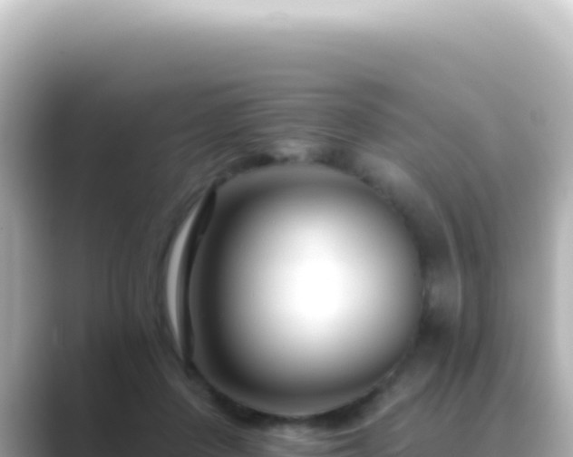 X0000089440408200706221233