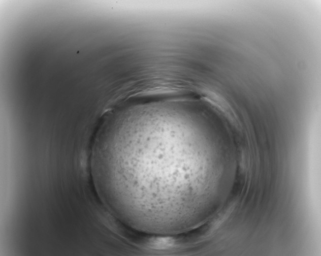 X0000089440409200706221233