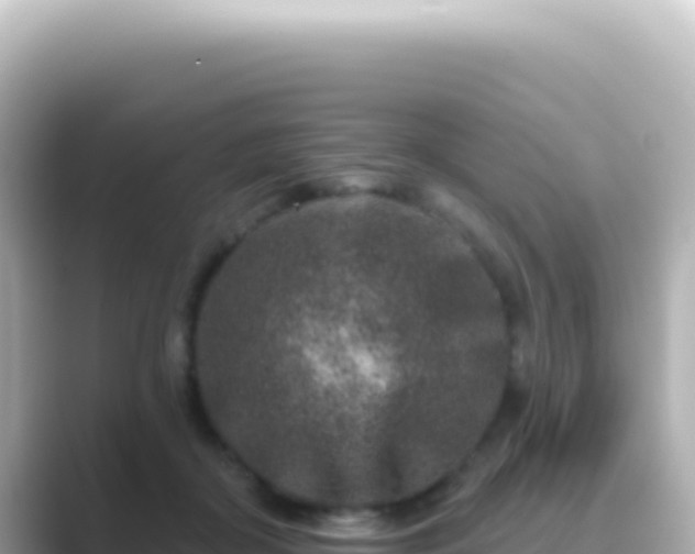 X0000089440410200706221233