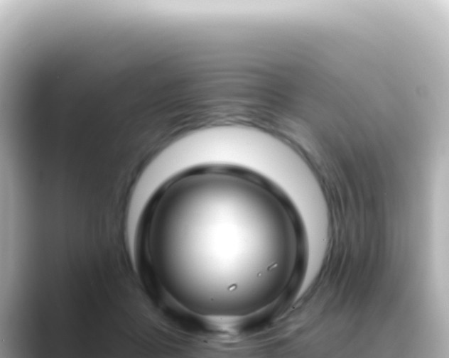 X0000089440411200706221233