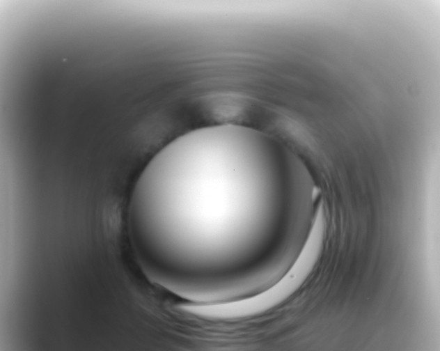 X0000089440412200706221233