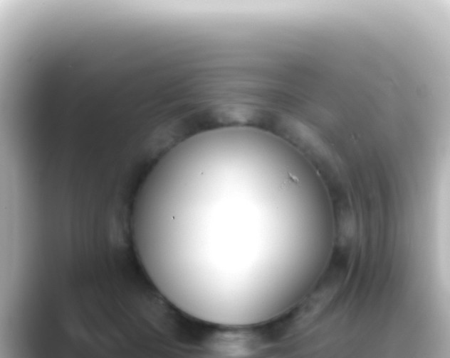 X0000089440414200706221233