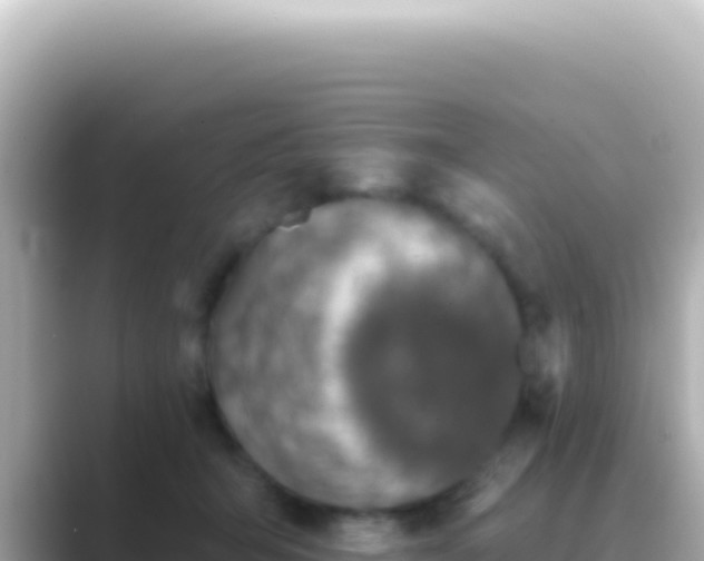 X0000089440415200706221233
