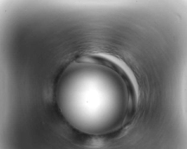 X0000089440416200706221233