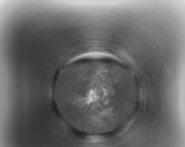 X0000089440417200706221233
