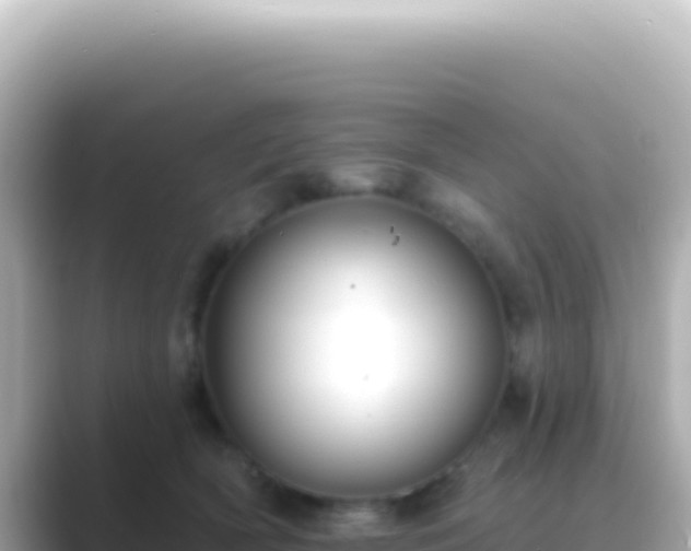 X0000089440418200706221232