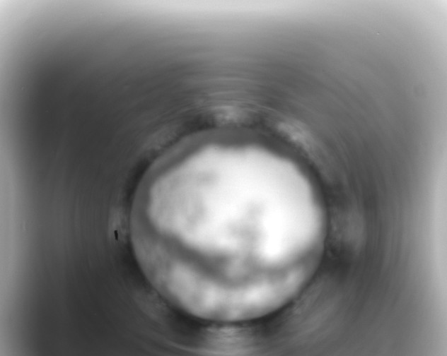 X0000089440419200706221232