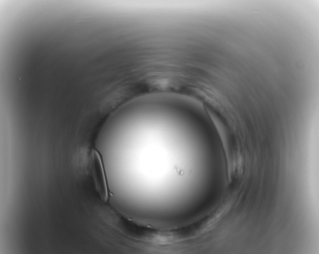 X0000089440420200706221232