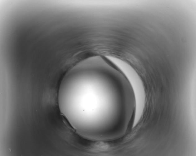 X0000089440421200706221232