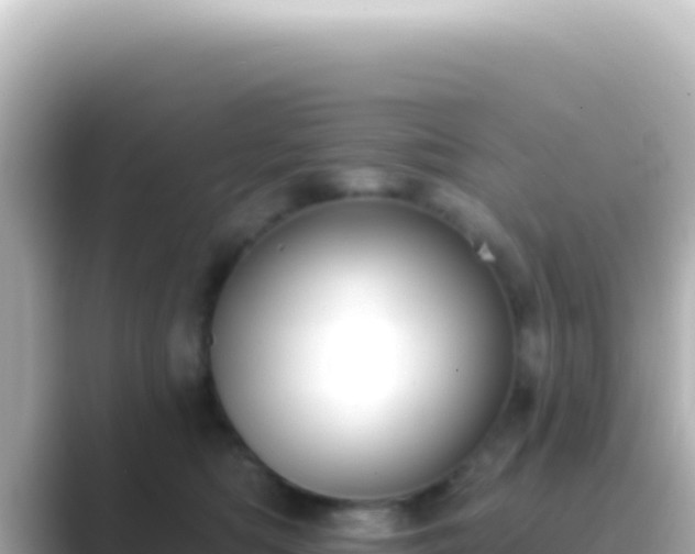 X0000089440422200706221232