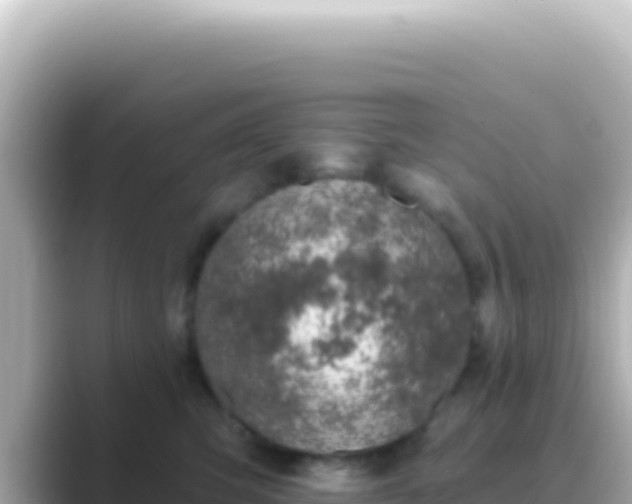 X0000089440423200706221232