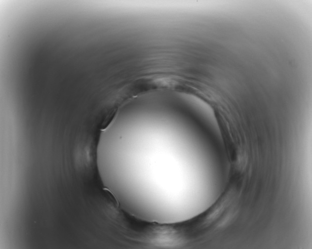 X0000089440424200706221232