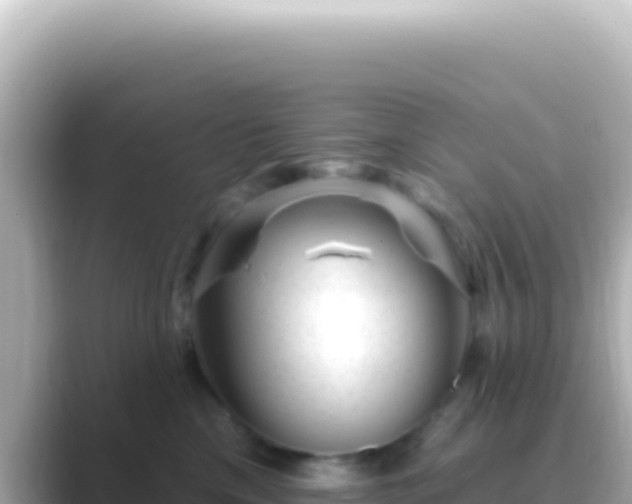 X0000089440425200706221232