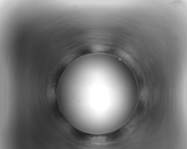 X0000089440426200706221232
