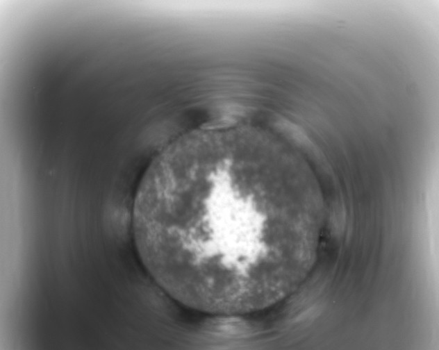 X0000089440427200706221232