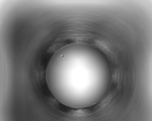 X0000089440430200706221232