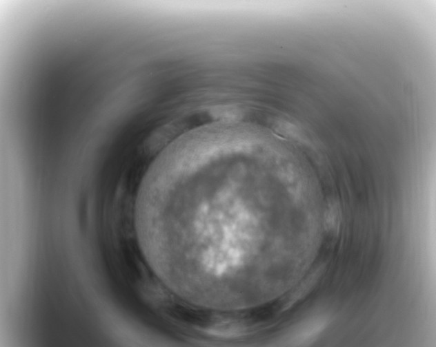 X0000089440431200706221232
