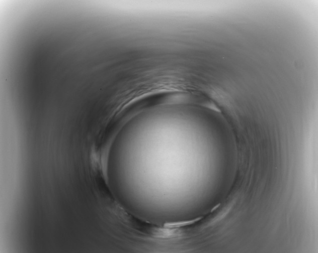 X0000089440432200706221232