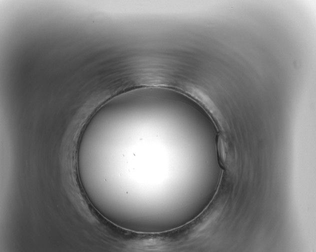 X0000089440433200706221232