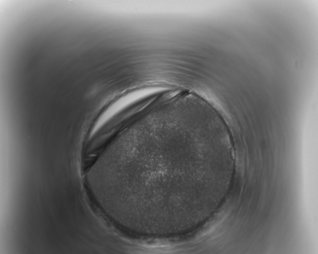 X0000089440434200706221232