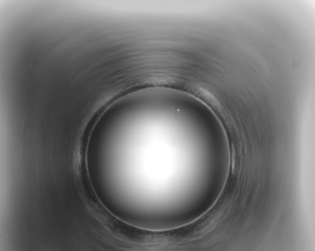 X0000089440435200706221232