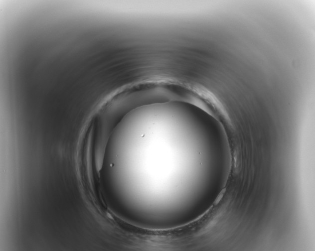 X0000089440436200706221232