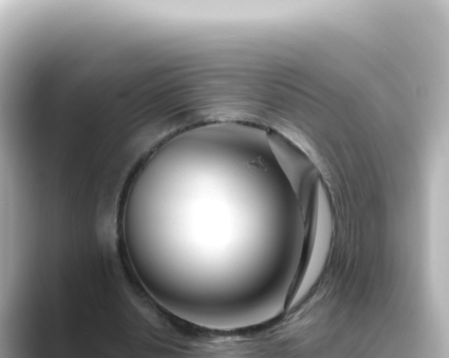 X0000089440438200706221232