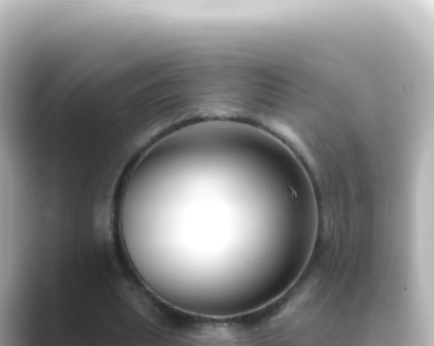X0000089440439200706221232