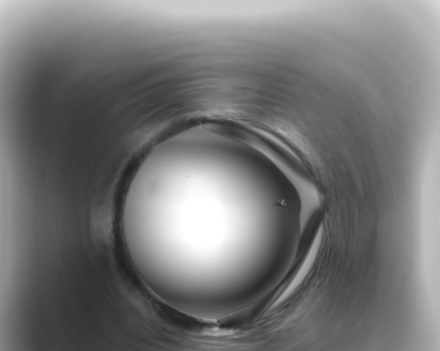 X0000089440440200706221232