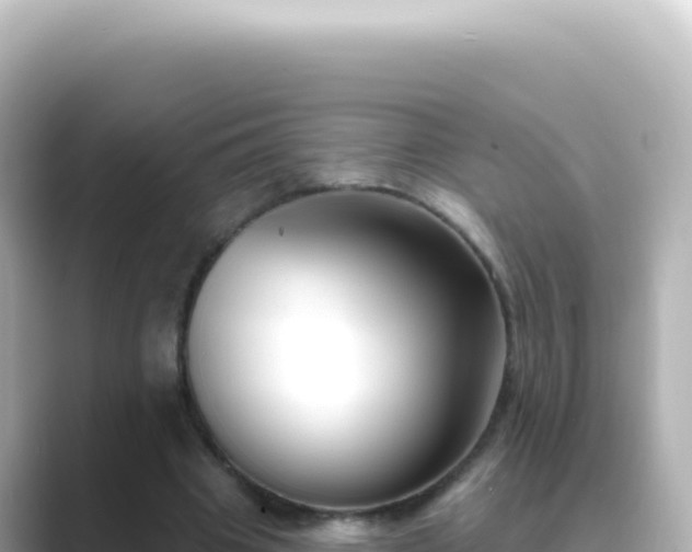 X0000089440441200706221232