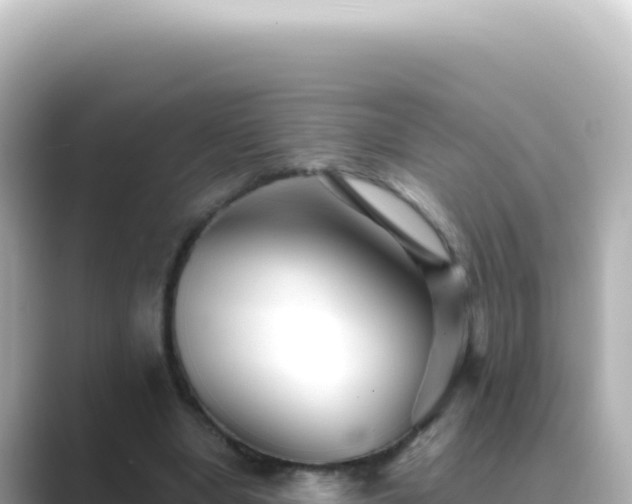 X0000089440442200706221232