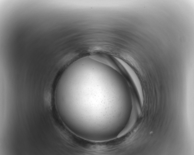 X0000089440444200706221232
