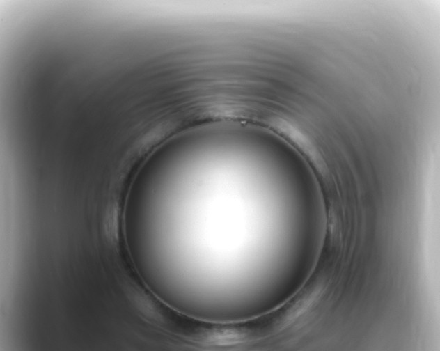 X0000089440445200706221232