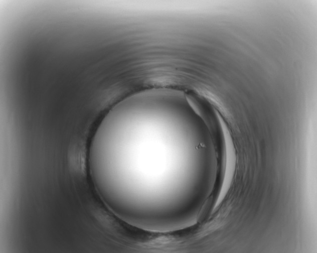 X0000089440446200706221232