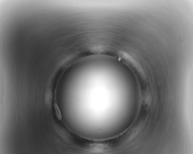 X0000089440448200706221232