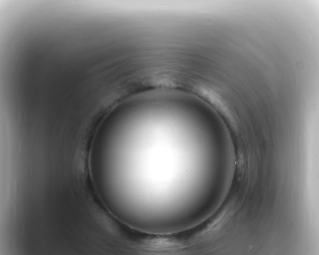 X0000089440449200706221232