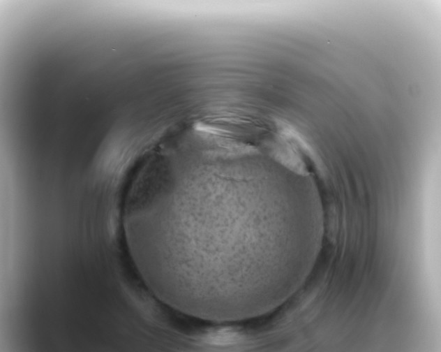 X0000089440451200706221232