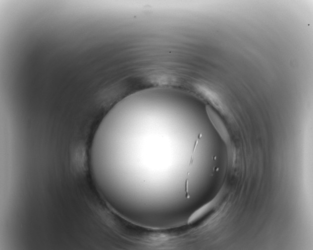 X0000089440453200706221232