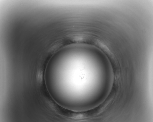 X0000089440454200706221232