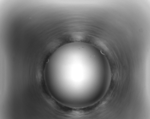 X0000089440455200706221232