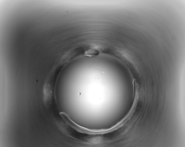 X0000089440456200706221232