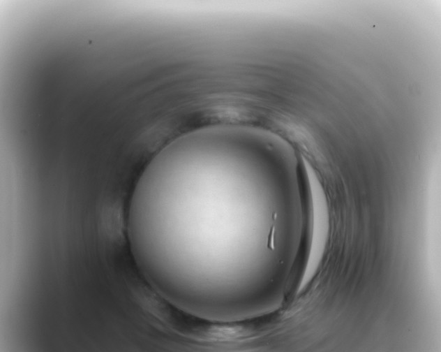 X0000089440457200706221232