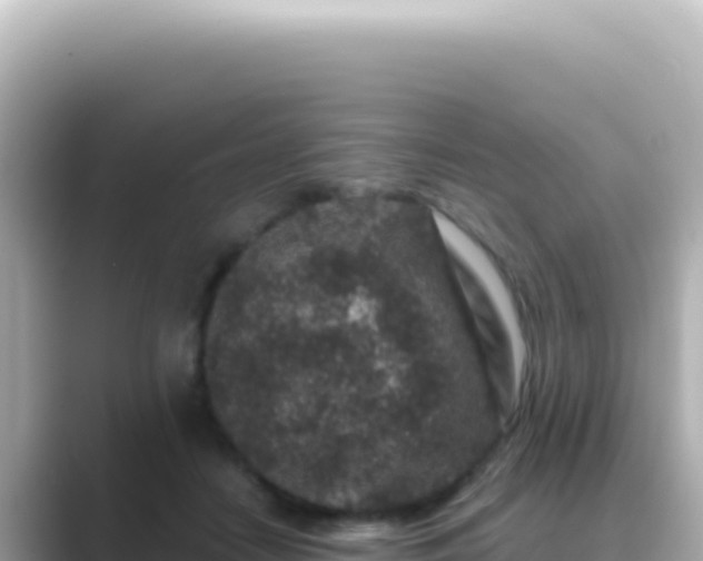 X0000089440458200706221232
