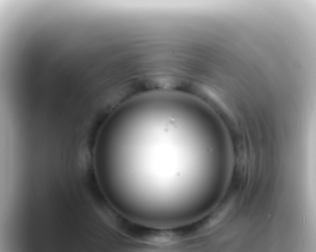 X0000089440459200706221232