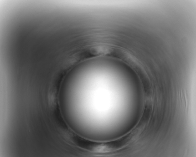 X0000089440460200706221232