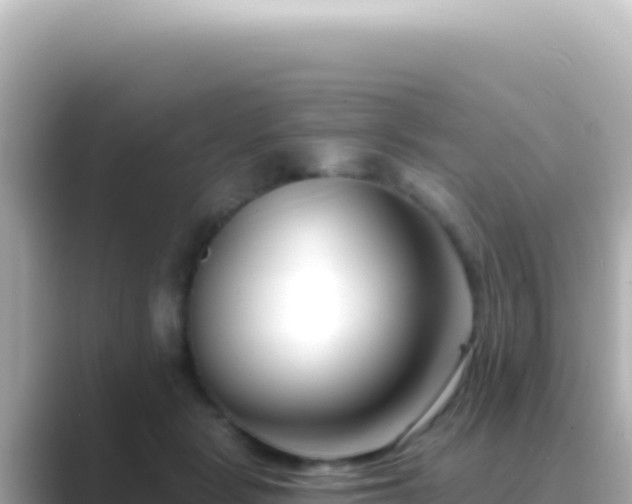 X0000089440461200706221232